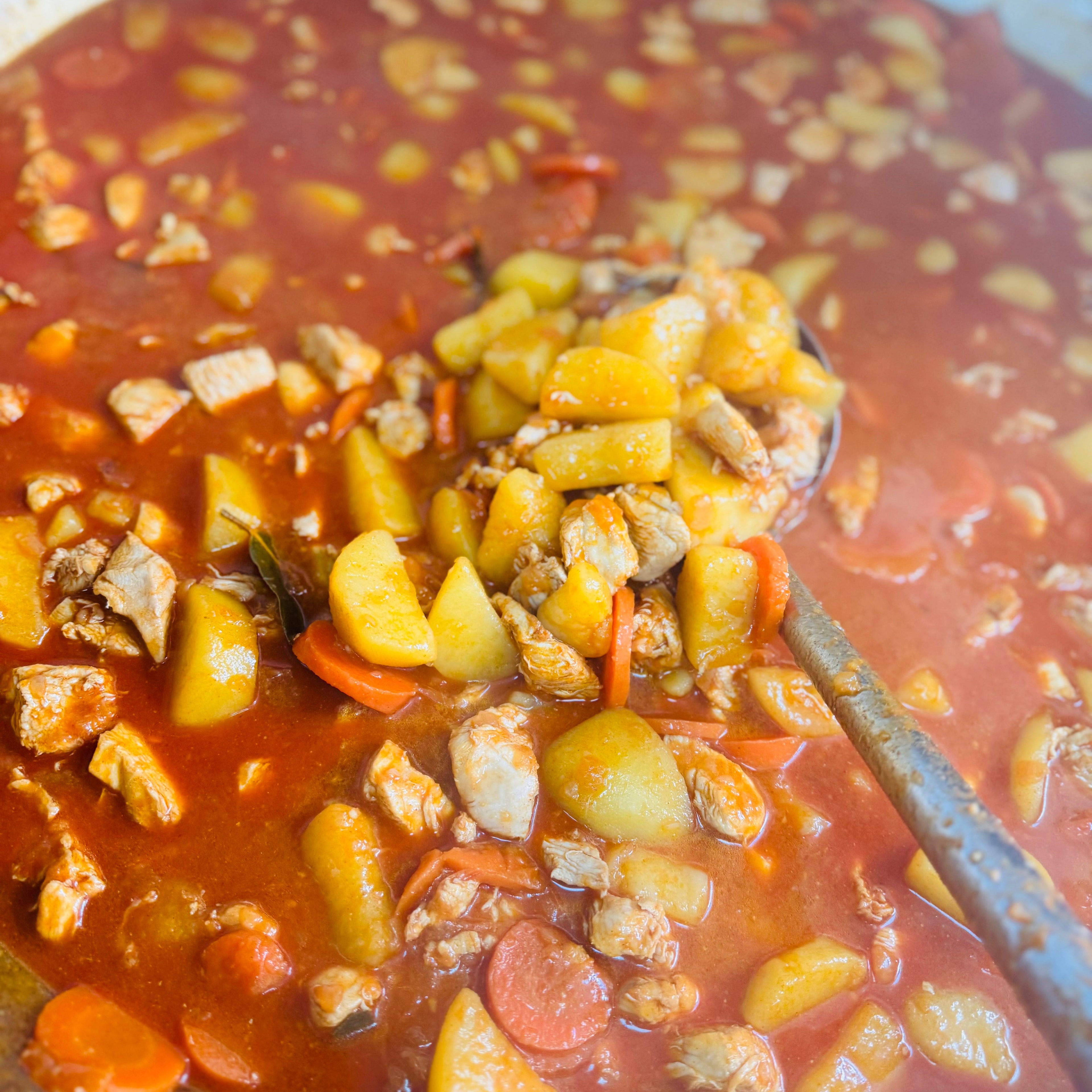 Chicken Paprikash • 1L Family Tray